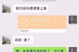 余姚为什么选择专业追讨公司来处理您的债务纠纷？